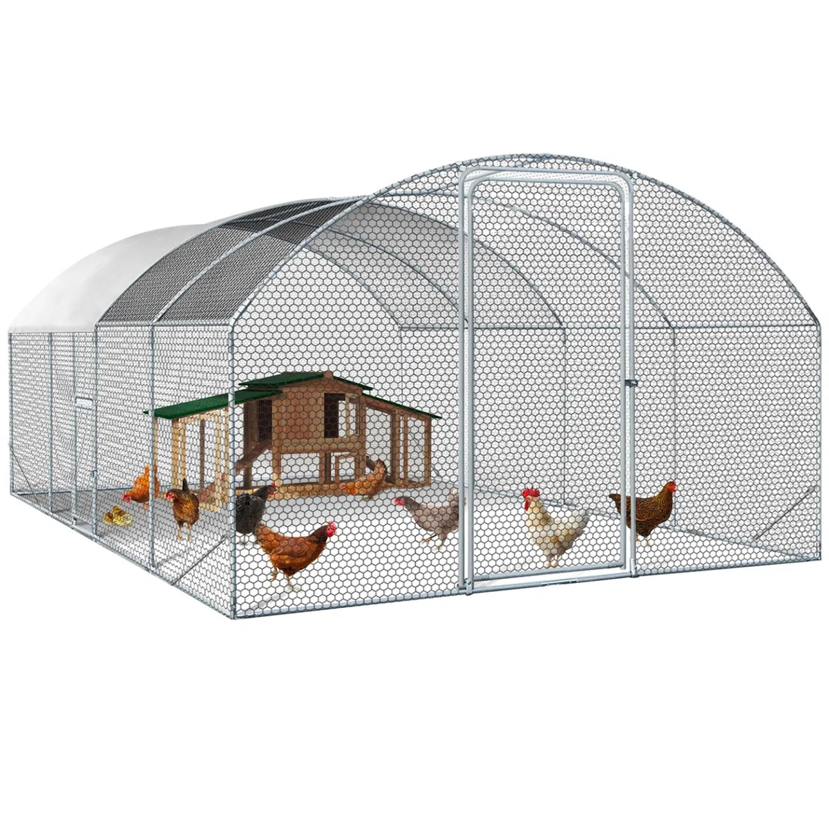 IDMarket - Hühnergehege Kuppel 15 m² Gitterpark 3x5 M mit Seitentür